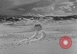 Image of weasel United States USA, 1943, second 18 stock footage video 65675071682