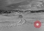 Image of weasel United States USA, 1943, second 19 stock footage video 65675071682