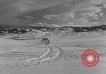 Image of weasel United States USA, 1943, second 20 stock footage video 65675071682