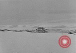 Image of weasel United States USA, 1943, second 22 stock footage video 65675071682