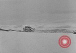 Image of weasel United States USA, 1943, second 23 stock footage video 65675071682