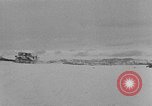 Image of weasel United States USA, 1943, second 24 stock footage video 65675071682