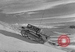 Image of weasel United States USA, 1943, second 25 stock footage video 65675071682
