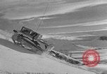 Image of weasel United States USA, 1943, second 26 stock footage video 65675071682