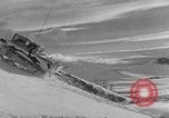 Image of weasel United States USA, 1943, second 27 stock footage video 65675071682