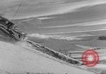 Image of weasel United States USA, 1943, second 28 stock footage video 65675071682