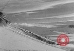 Image of weasel United States USA, 1943, second 29 stock footage video 65675071682