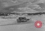 Image of weasel United States USA, 1943, second 30 stock footage video 65675071682