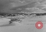 Image of weasel United States USA, 1943, second 31 stock footage video 65675071682