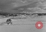 Image of weasel United States USA, 1943, second 32 stock footage video 65675071682