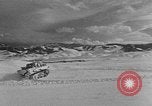 Image of weasel United States USA, 1943, second 33 stock footage video 65675071682