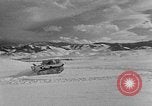 Image of weasel United States USA, 1943, second 34 stock footage video 65675071682