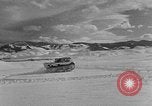 Image of weasel United States USA, 1943, second 35 stock footage video 65675071682