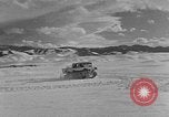 Image of weasel United States USA, 1943, second 36 stock footage video 65675071682