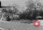 Image of weasel United States USA, 1943, second 39 stock footage video 65675071682