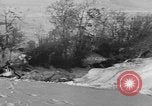 Image of weasel United States USA, 1943, second 40 stock footage video 65675071682