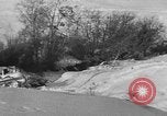 Image of weasel United States USA, 1943, second 41 stock footage video 65675071682