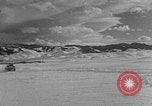 Image of weasel United States USA, 1943, second 47 stock footage video 65675071682