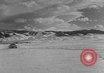 Image of weasel United States USA, 1943, second 48 stock footage video 65675071682