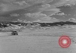 Image of weasel United States USA, 1943, second 49 stock footage video 65675071682