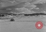 Image of weasel United States USA, 1943, second 50 stock footage video 65675071682