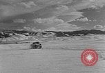 Image of weasel United States USA, 1943, second 51 stock footage video 65675071682