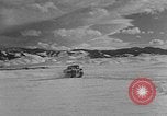Image of weasel United States USA, 1943, second 52 stock footage video 65675071682
