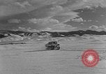 Image of weasel United States USA, 1943, second 53 stock footage video 65675071682