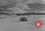 Image of weasel United States USA, 1943, second 54 stock footage video 65675071682