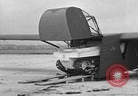 Image of weasel United States USA, 1943, second 57 stock footage video 65675071682