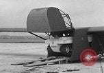 Image of weasel United States USA, 1943, second 58 stock footage video 65675071682