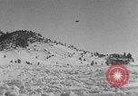 Image of weasel United States USA, 1943, second 60 stock footage video 65675071682