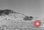 Image of weasel United States USA, 1943, second 61 stock footage video 65675071682