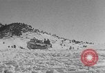 Image of weasel United States USA, 1943, second 62 stock footage video 65675071682