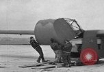 Image of weasel United States USA, 1943, second 4 stock footage video 65675071683