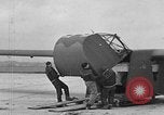 Image of weasel United States USA, 1943, second 5 stock footage video 65675071683