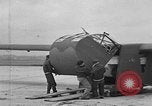 Image of weasel United States USA, 1943, second 7 stock footage video 65675071683