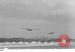 Image of weasel United States USA, 1943, second 23 stock footage video 65675071683
