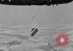 Image of weasel United States USA, 1943, second 27 stock footage video 65675071683