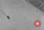 Image of weasel United States USA, 1943, second 30 stock footage video 65675071683