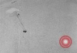 Image of weasel United States USA, 1943, second 31 stock footage video 65675071683
