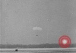 Image of weasel United States USA, 1943, second 34 stock footage video 65675071683