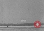 Image of weasel United States USA, 1943, second 37 stock footage video 65675071683