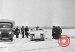 Image of weasel United States USA, 1943, second 39 stock footage video 65675071683