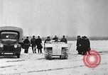 Image of weasel United States USA, 1943, second 40 stock footage video 65675071683
