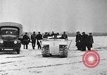 Image of weasel United States USA, 1943, second 41 stock footage video 65675071683
