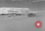 Image of weasel United States USA, 1943, second 45 stock footage video 65675071683