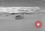 Image of weasel United States USA, 1943, second 46 stock footage video 65675071683