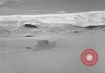 Image of weasel United States USA, 1943, second 47 stock footage video 65675071683