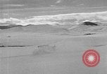 Image of weasel United States USA, 1943, second 48 stock footage video 65675071683